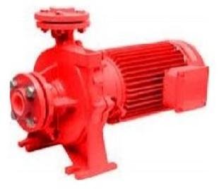 Bomba CentrÃ­fuga Salmson PAB 40-200-7,5-165