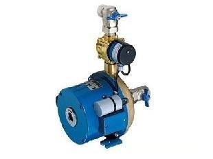 Trabajo de reparacion a nuevo Bomba Rowa SFL 25